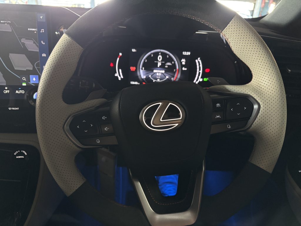 NX　ステアリングエンブレムイルミ　Rayace