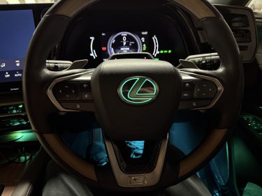 【マルチカラー】ステアリングエンブレムイルミ