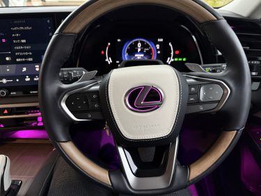 RX アンビエントライト増設