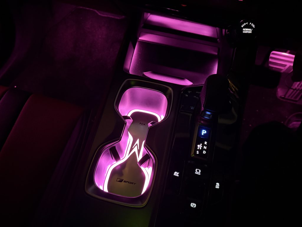 NX　アンビエントライト　Rayace