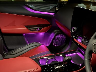 NX　アンビエントライト　Rayace