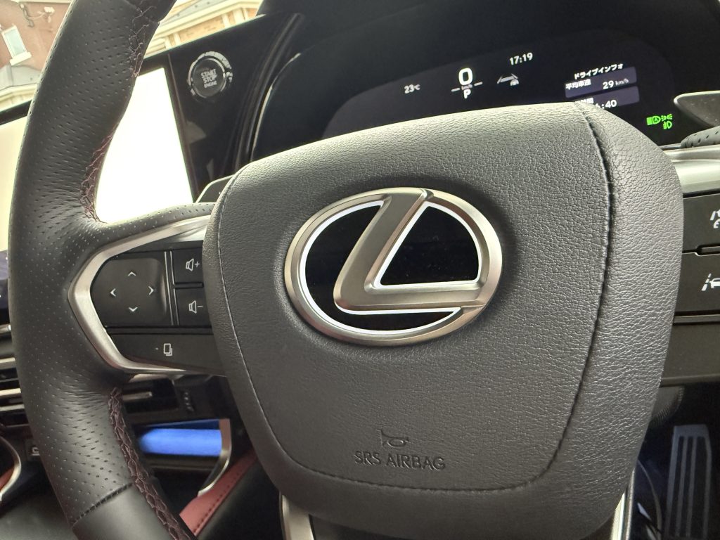 ステアリングエンブレムイルミ　Rayace