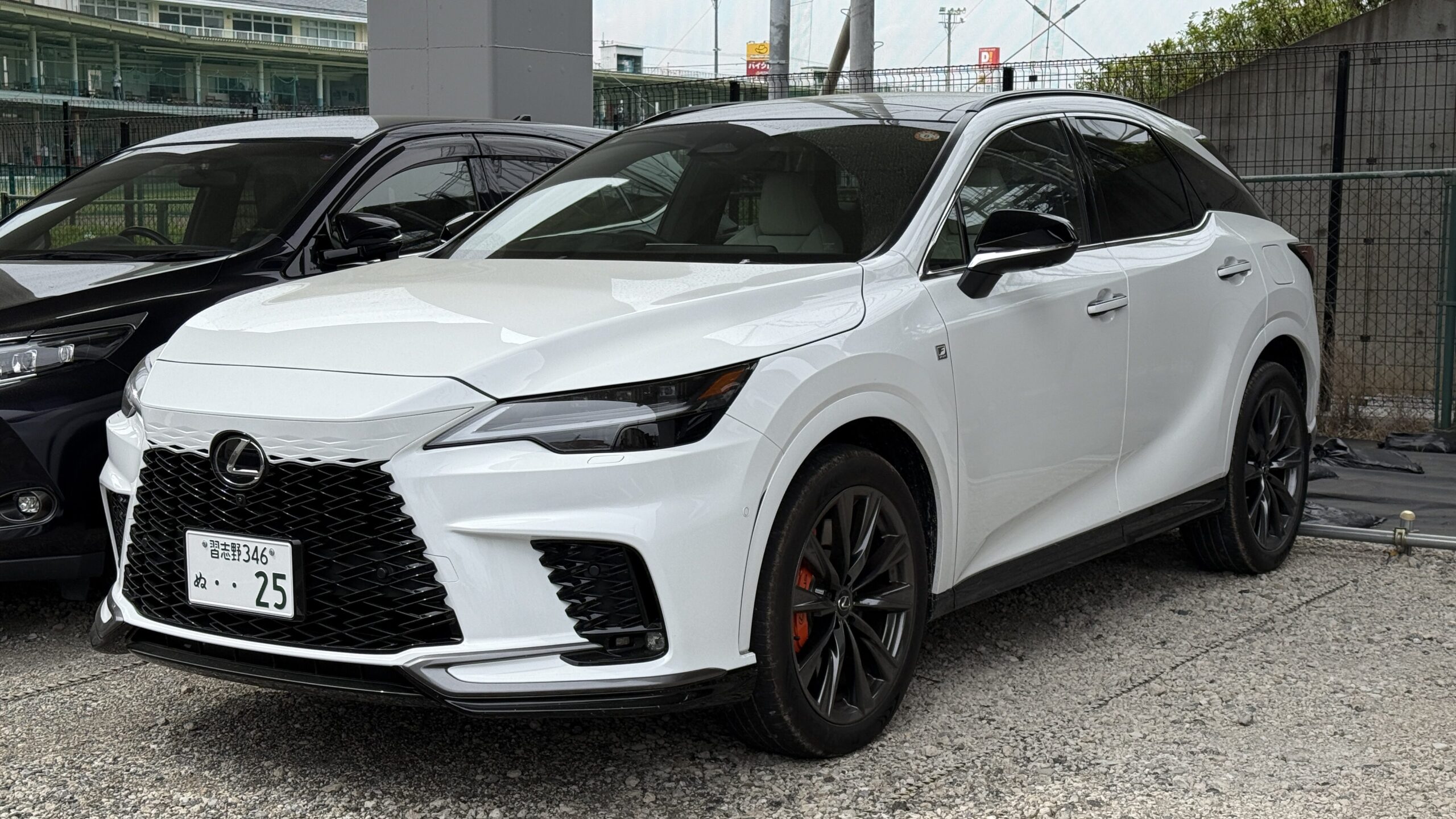 LEXUS - RX350 Fsport(2025)
