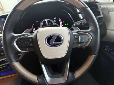 Rayace レザー貼り　ホーンパッド