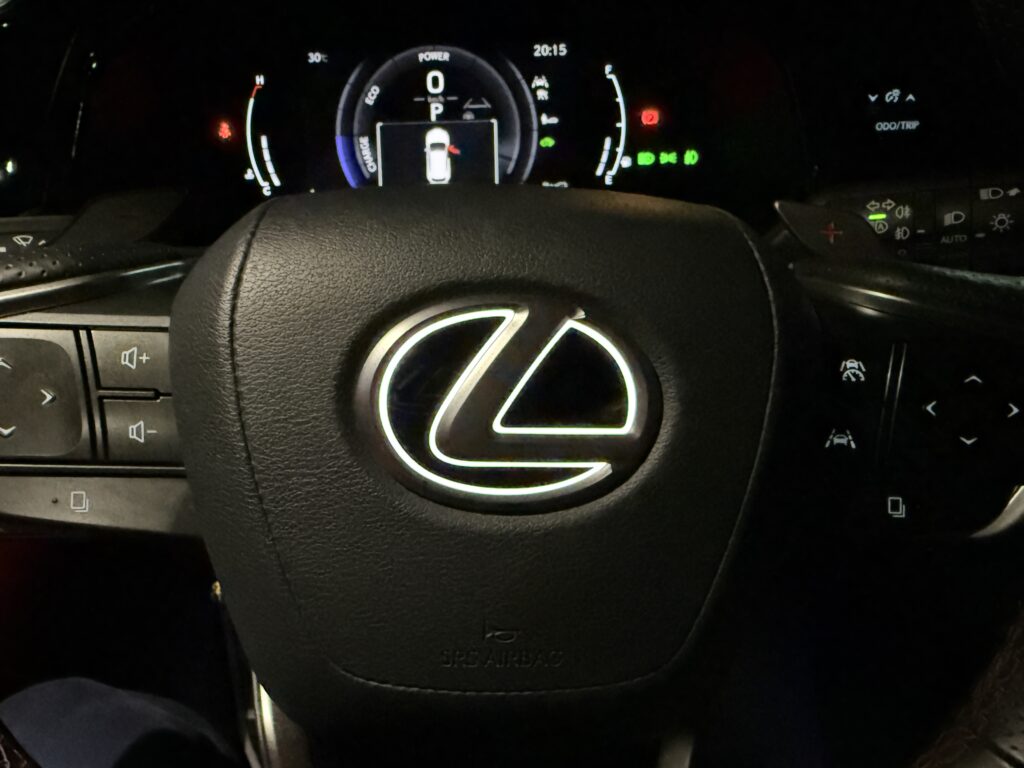 ステアリングエンブレムイルミ　Rayace