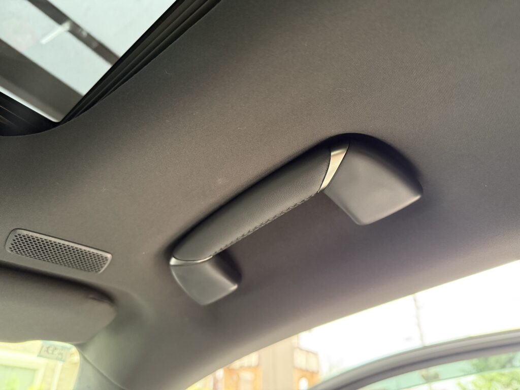 Rayace　LSアシストグリップ