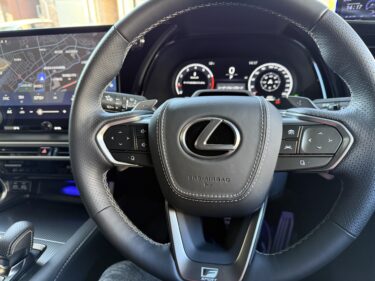 Rayace　レザーホーンパッド　