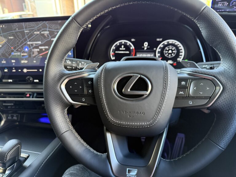 Rayace　レザーホーンパッド　