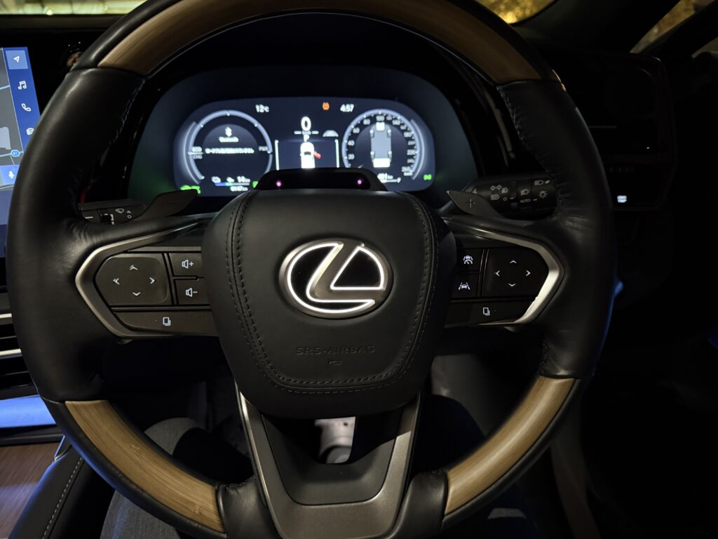 ステアリングエンブレムイルミ　Rayace　RX