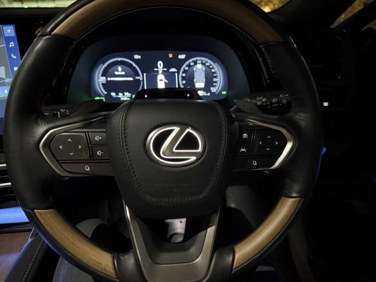 ステアリングエンブレムイルミ　Rayace　RX