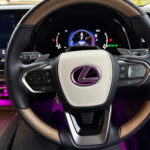 Rayace　ホーンパッドレザー貼り