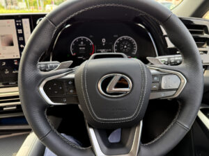 Rayace　ホーンパッドレザー貼り