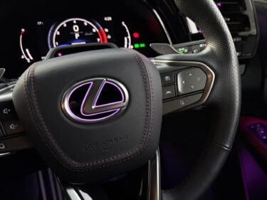 Rayace　ホーンパッドレザー貼り