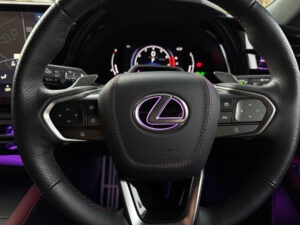 Rayace　ホーンパッドレザー貼り