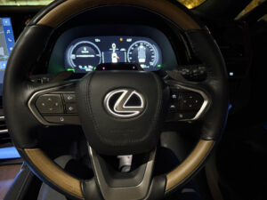 Rayace　ホーンパッドレザー貼り