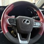 Rayace　ホーンパッド