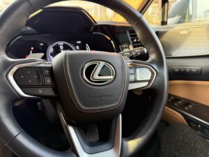 Rayace　ヘーゼル　ホーンパッド