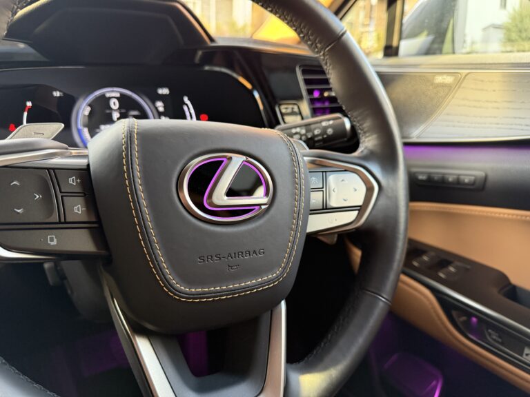 Rayace　ヘーゼル　ホーンパッド