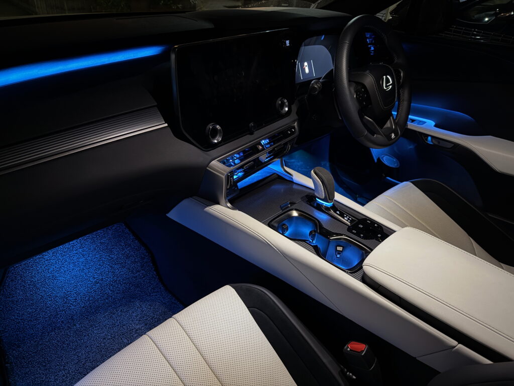 Rayace Dレンジ減光無し化