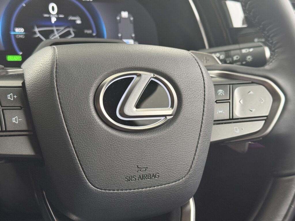 ステアリングエンブレムイルミ Rayace